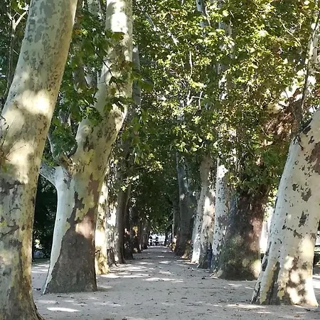 아파트 Studio In Balaton 38176 시오포크